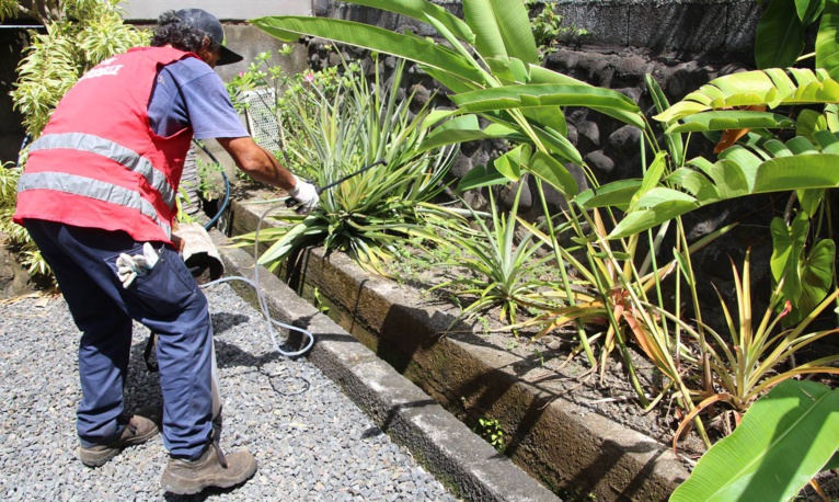 Un 3e cas de dengue 2 confirmé à Arue