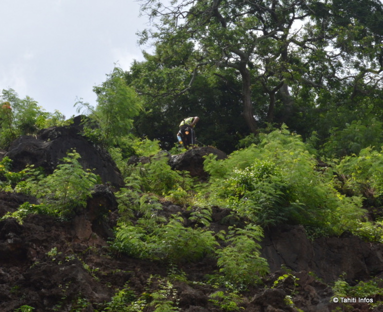 9 grimpeurs et leur chef étaient suspendus à la falaise pour accrocher les grillages 9 grimpeurs et leur chef étaient suspendus à la falaise pour accrocher les grillages