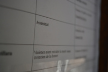 Cour d'assises : 20 ans de réclusion criminelle pour le meurtrier à la hache Cour d'assises : 20 ans de réclusion criminelle pour le meurtrier à la hache