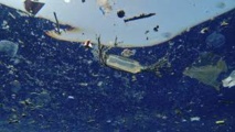Les océans pollués par des particules invisibles de plastique