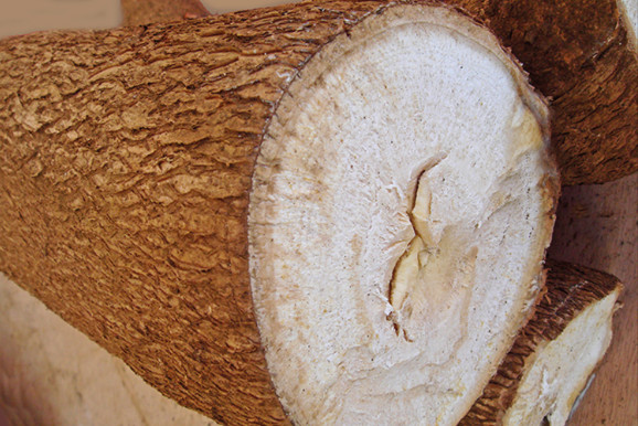 L'igname, ufi ou uhi, est une plante alimentaire à grande valeur nutritive, en raison de sa richesse en glucides, en fibres et en minéraux, dont on utilise uniquement les racines. Il était cultivé dans toute la Polynésie bien avant l'arrivée des navigateurs européens. L'un de ses grands intérêts est que sa production, correspond à celle où le 'uru (l'arbre à pain) ne produit pas de fruits.