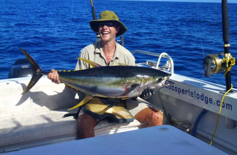 Un petit “yellow fin” pour un tartare ou un sashimi de roi ! Un petit “yellow fin” pour un tartare ou un sashimi de roi !