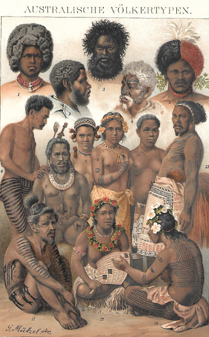 Carnet de voyage - Wilhelm Solf : paix, prospérité et ordre allemands aux Samoa
