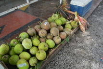 Ouverture du 5ème festival du ‘Uru ce jeudi Ouverture du 5ème festival du ‘Uru ce jeudi