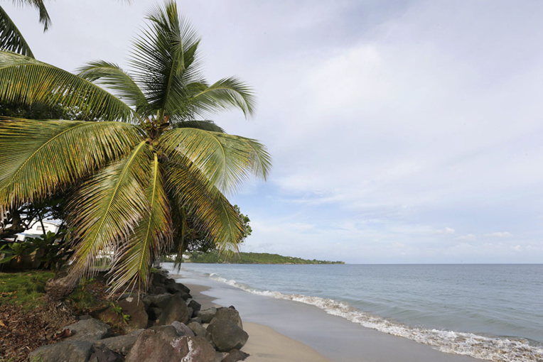 Martinique : un parc naturel marin créé d’ici fin mars