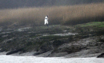 Affaire Troadec: les ADN des 4 membres de la famille retrouvés sur les restes humains