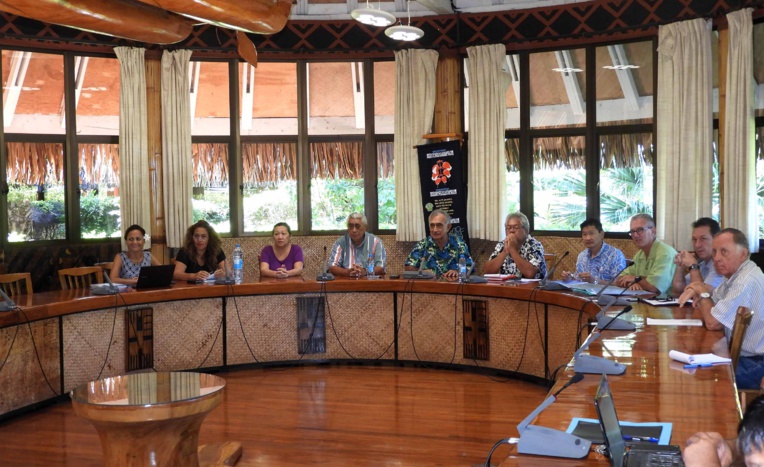 Le plan d’aménagement des cours d’eau de Faa’a  présenté