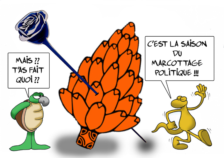 " L'alliance Tahoeraa-Front National " vu par Munoz