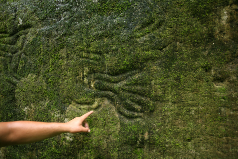Des petits bonhommes “dansent” sous la mousse du rocher sculpté de Teueto. Des petits bonhommes “dansent” sous la mousse du rocher sculpté de Teueto.