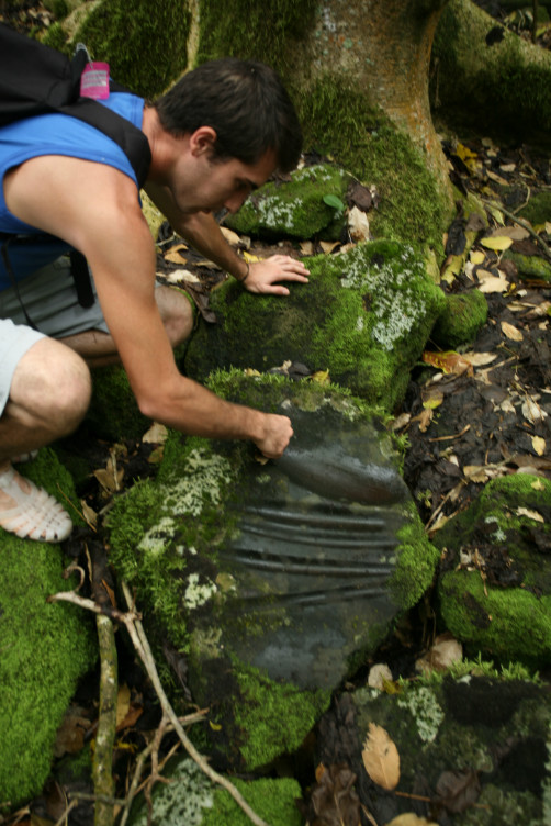 Une pierre avec des emplacements pour aiguiser les herminettes et une marque plus large pour le polissage.