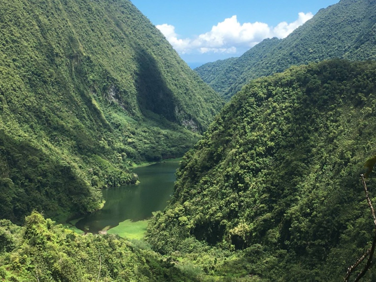 Le VSOP a su évoluer sans renoncer à son identité Le VSOP a su évoluer sans renoncer à son identité