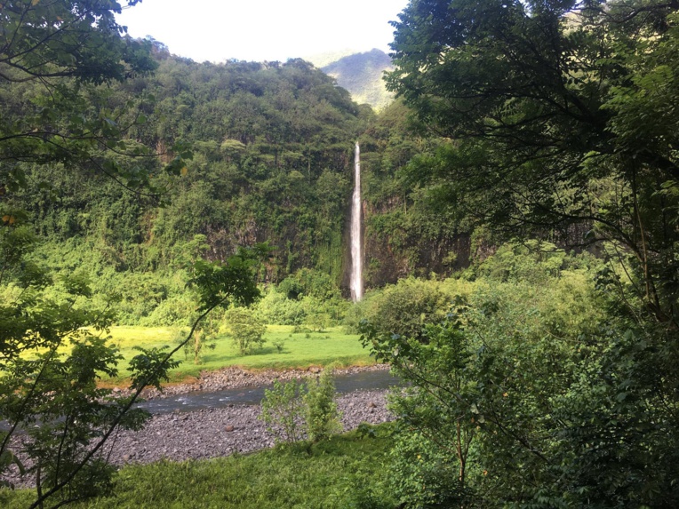 Un spectacle féerique attend les participants