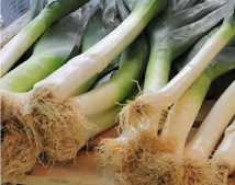 Planter des poireaux sur les trottoirs parisiens, c'est possible