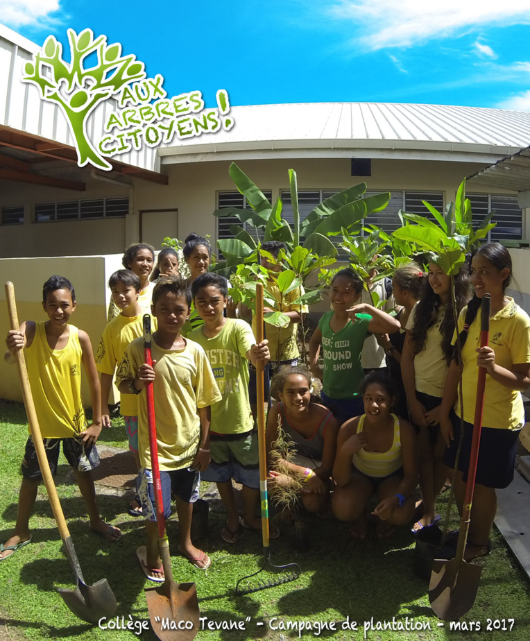 Aux arbres citoyens !