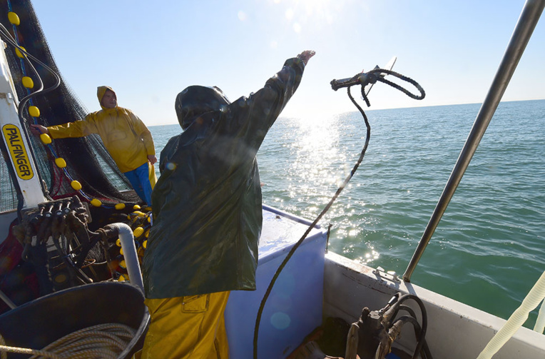UE s'engage sur 10 ans pour "sauver" les stocks de poissons en Méditerranée UE s'engage sur 10 ans pour "sauver" les stocks de poissons en Méditerranée