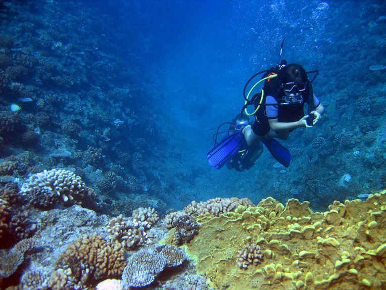 Australie: le cyclone aggrave l'inquiétude pour la Grande barrière de corail Australie: le cyclone aggrave l'inquiétude pour la Grande barrière de corail