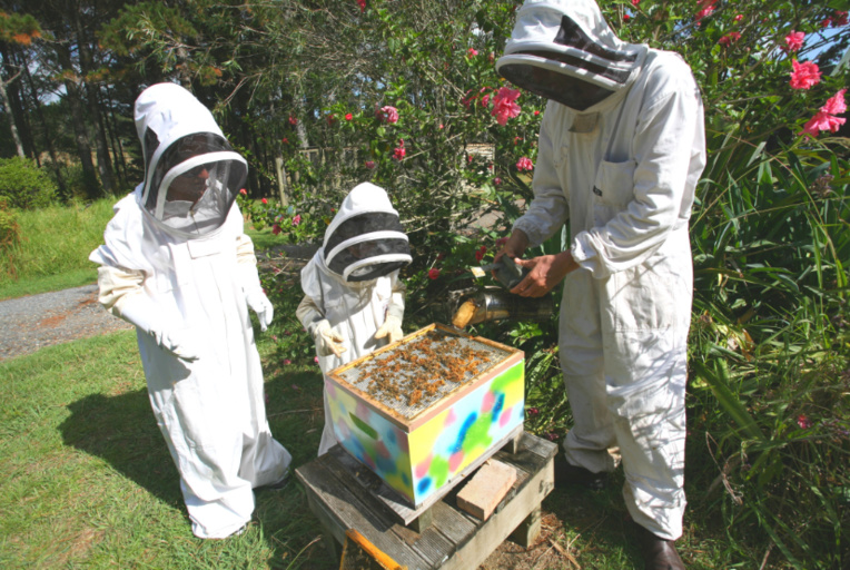 Frank (à droite) entame la leçon de choses par l’ouverture de la ruche