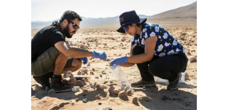 Les biologistes chiliens Cristiana Dorador et Jonathan Garcia prélèvent des fragments de sel pour les analyser, dans le désert d'Atacama, le 7 mars 2017 au Chili ((c) Afp)