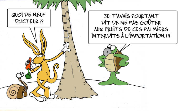 " Les plantes illégalement importées sur le territoire " par Munoz " Les plantes illégalement importées sur le territoire " par Munoz