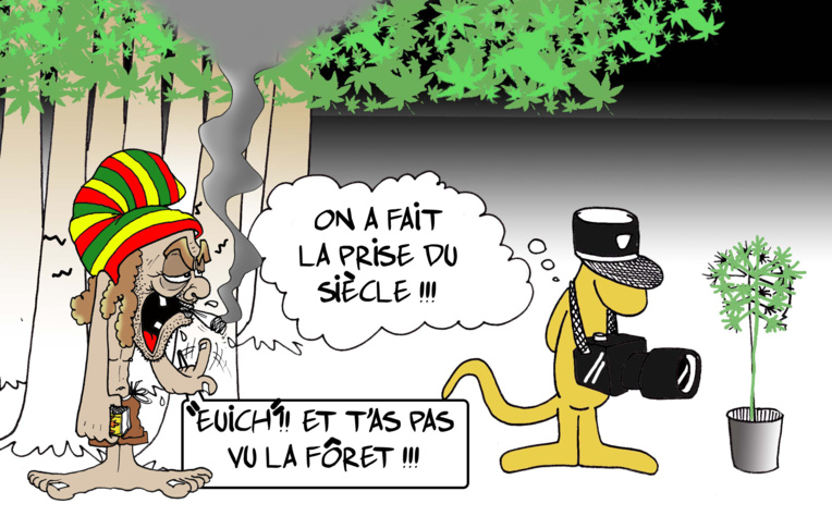 " Un tentaculaire trafic de paka " par Munoz " Un tentaculaire trafic de paka " par Munoz