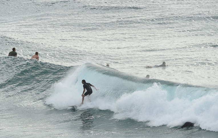 Australie: Une jeune surfeuse tuée par un requin devant sa famille