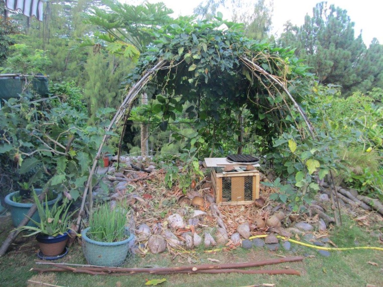 La permaculture mise en lumière au village de l’alimentation La permaculture mise en lumière au village de l’alimentation