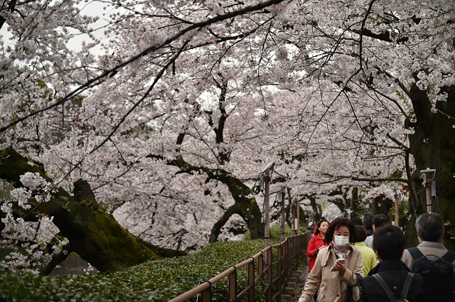 La Japan National Tourism Organization (JNTO, Organisation nationale du tourisme au Japon), a annoncé en début d'année que 24,04 millions de visiteurs s'étaient rendus au Japon en 2016.