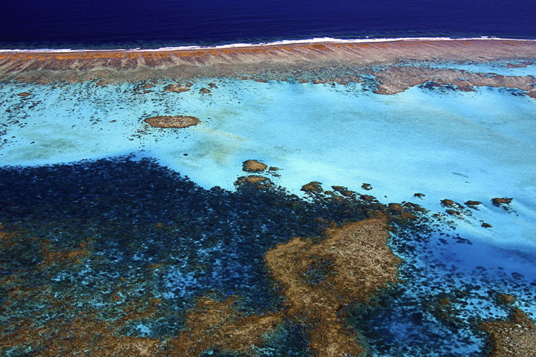 Les récifs coralliens, des barrières de protection fragilisées par l'érosion des sols marins Les récifs coralliens, des barrières de protection fragilisées par l'érosion des sols marins