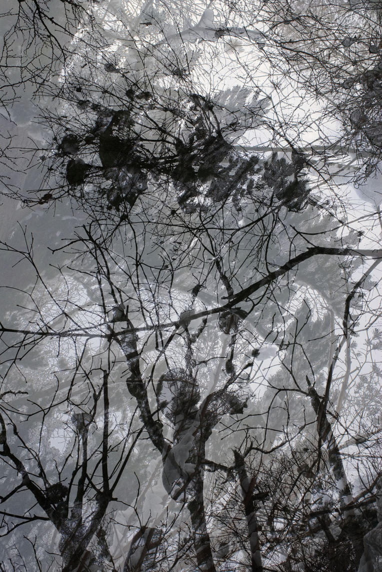 Pour ce passionné, dans la photographie, "il est bien question de peindre, de dessiner". Pour ce passionné, dans la photographie, "il est bien question de peindre, de dessiner".