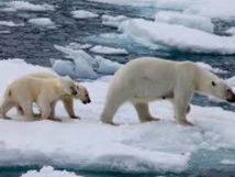 Climat: les menaces pour les villes se précisent, la "résilience" s'organise Climat: les menaces pour les villes se précisent, la "résilience" s'organise