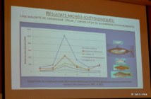 Les doctorants présentent leurs découvertes Les doctorants présentent leurs découvertes