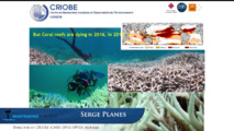 Serge Planes, directeur du Criobe, est alarmiste sur les conséquences du changement climatique sur nos coraux.