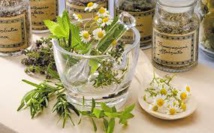 Plus de 28.000 plantes ont des propriétés médicinales, selon un rapport britannique