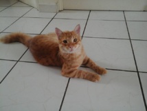 Photo d'illustration (Facebook Eimeo Animara). Photo d'illustration (Facebook Eimeo Animara).