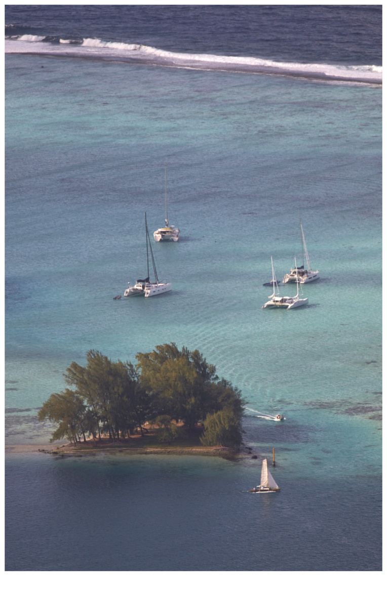 Photo : Bertrand Duquenne. Photo : Bertrand Duquenne.