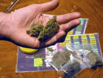Les contraventions pour usage de cannabis instaurées d'ici la fin de l'année