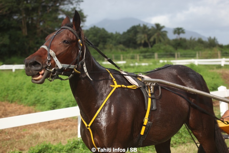 Pas moins de 10 journées de courses au programme Pas moins de 10 journées de courses au programme