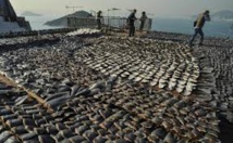 ONU: Washington dénonce la pêche illégale à la conférence sur les océans