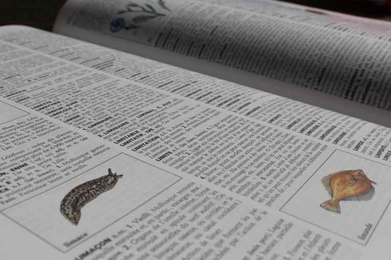 Page enfant : 150 nouveaux mots dans les dicos ! Page enfant : 150 nouveaux mots dans les dicos !