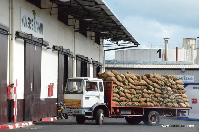 Le cours de l'huile de Coprah a doublé en trois ans Le cours de l'huile de Coprah a doublé en trois ans