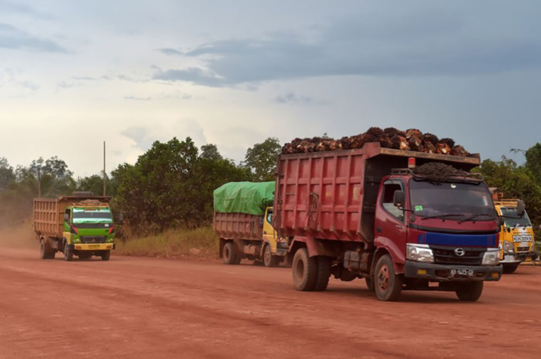 En Indonésie, des tribus victimes de la déforestation se tournent vers l'islam En Indonésie, des tribus victimes de la déforestation se tournent vers l'islam