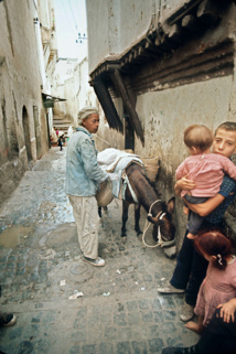 L'âne, "camion-poubelle" de la Casbah d'Alger depuis cinq siècles