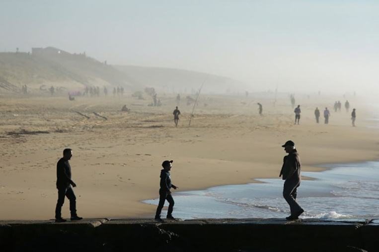 Drogue: plus d'1,5 tonne de cocaïne saisie sur une plage des Landes