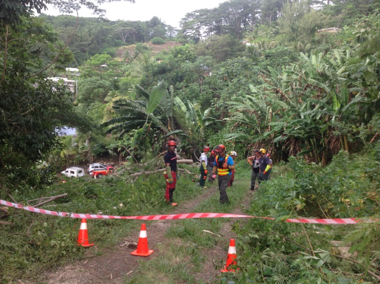 15 agents communaux de Mahina ont suivi une formation bûcheron la semaine dernière.