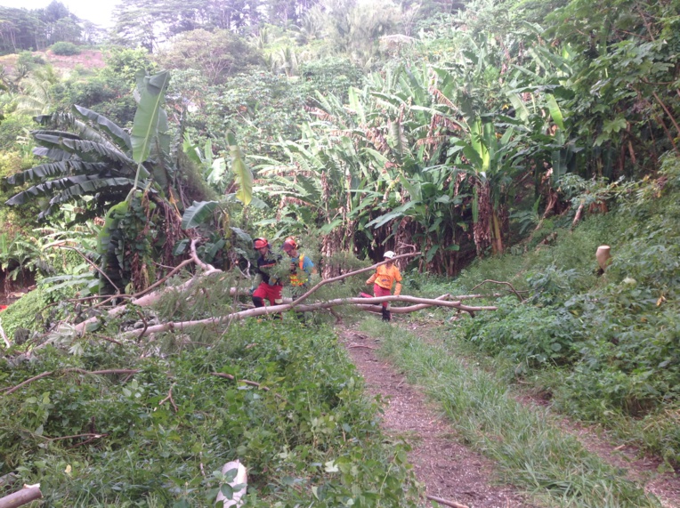 Le volet pratique en milieu naturel a duré deux jours, afin de mettre en pratique les connaissances des stagiaires. Le volet pratique en milieu naturel a duré deux jours, afin de mettre en pratique les connaissances des stagiaires.