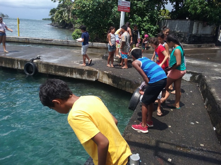 "Les enfants ont bien compris que le corail est, à la fois un animal, un végétal et un minéral", explique Vaite Pifao, professeur des écoles en classe de CM2. "Les enfants ont bien compris que le corail est, à la fois un animal, un végétal et un minéral", explique Vaite Pifao, professeur des écoles en classe de CM2.