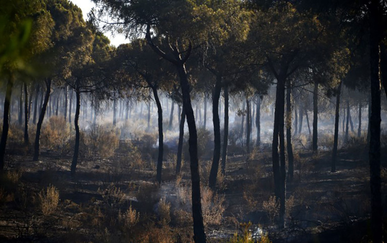 Espagne: l'incendie "contrôlé" en Andalousie