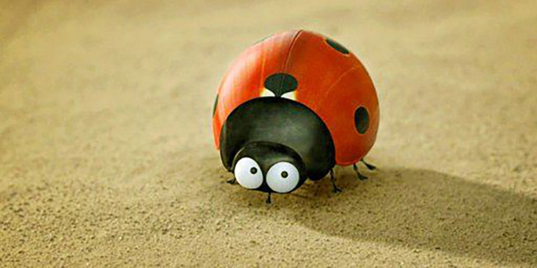 Le film d'animation Minuscule 2 achève son tournage en Guadeloupe Le film d'animation Minuscule 2 achève son tournage en Guadeloupe