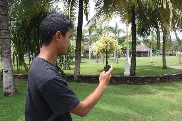 Pour trouver la géocache déposée au Parc Tahua Autonomie (anciens jardins de Paofai), équipez-vous d'un smartphone.