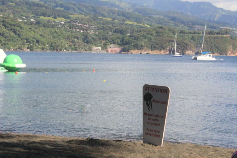 Mahina : attention aux méduses Mahina : attention aux méduses